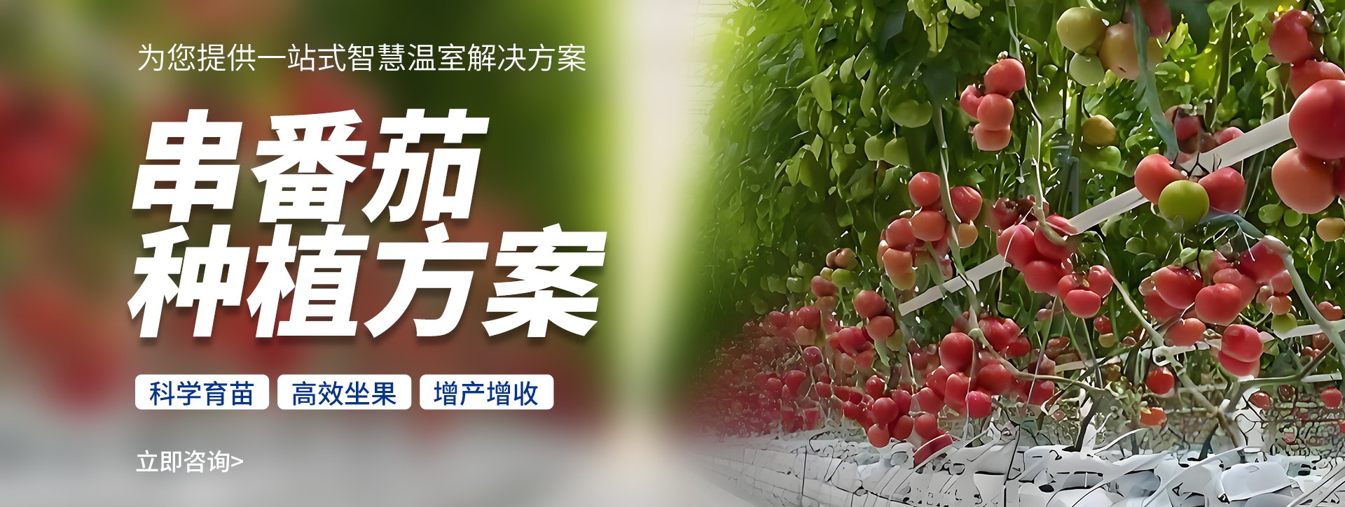 ӱ豸޹˾